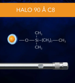 HALO 90 Å C8, 5 µm, 4.6 x 150 mm HPLC Column