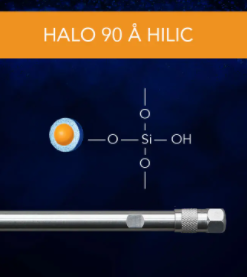 HALO 90 Å HILIC, 5 µm, 4.6 x 150 mm HPLC Column
