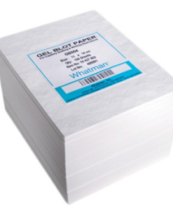 Giấy thấm GB003 15x15cm Whatman