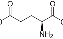 L-Glutamic acid for biochemistry 250g Merck