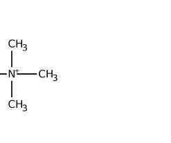 Tetramethylammonium hydroxide, 25 wt% in methanol 500g Acros