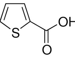 2-Thiophenecarboxylic acid, 99% 5g Acros