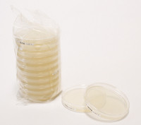 Sab-Gluc-A w. LTHTh -LI 30ml 20PC Merck