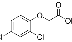 2,4-Dichlorophenoxyacetic acid, 99+% 100g Acros