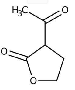 2-Acetylbutyrolactone, 99+% 100ml Acros