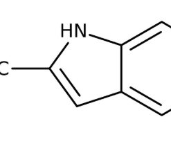 2-Methylindole 98%, 100g Acros