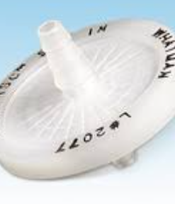 Anotop 10 Syringe Filter, 0.02µm Whatman