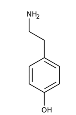 Tyramine, 97% 5g Acros