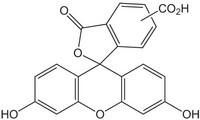 5(6)-Carboxyfluorescein 1g Merck Đức