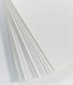 Màng lọc sợi thủy tinh 210x297mm Whatman