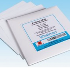 Màng lọc Cenluloze Nitrate BA 85 -PROTRAN 20cmx20cm Whatman