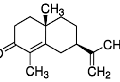 alpha-Cyperone 20mg ChemFaces