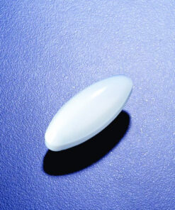 Cá từ hình oval 30x16 mm Azlon Scilabware