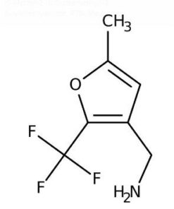 [5-Methyl-2-(trifluoromethyl)-3-furyl]methylamine, 97% 5g Maybridge