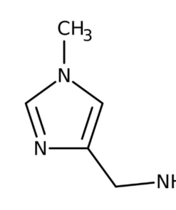 (1-Methyl-1H-imidazol-4-yl)methylamine, 95% 1g Maybridge