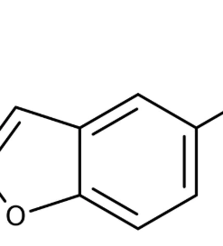 1-Benzofuran-5-carbaldehyde 97%,1g Maybridge