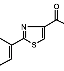 2-Phenyl-1,3-thiazole-4-carboxylic acid 97%, 1g Maybridge
