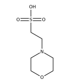 MES monohydrate 100g Bioreagents