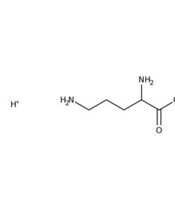 L-Ornithine Hydrochloride 100g Bioreagents