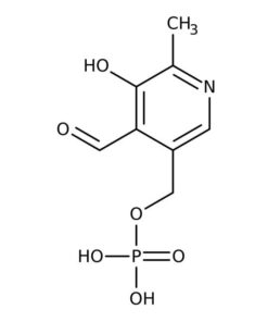Pyridoxal-5-Phosphate, Monohydrate 5g Bioreagents