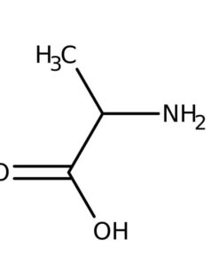 L-Alanine 100g Bioreagents