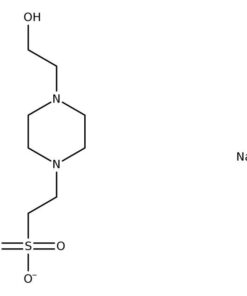 HEPES (Molecular Biology) 100g Bioreagents
