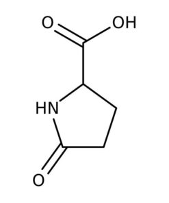 (S)-(-)-2-Pyrrolidone-5-carboxylic acid, 98% 25g Acros