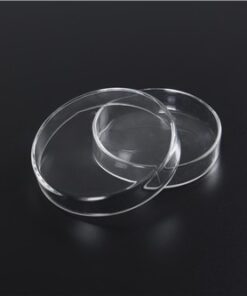 Hộp petri 60 x 15mm Genlab