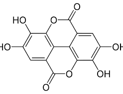 Ellagic acid 20mg ChemFaces