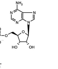 Adenosine 5`-Triphosphate Disodium Salt Trihydrate 25g Bioreagents