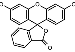 Fluorescein, Pure, C.I.45350 25g Fisher