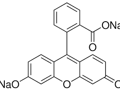 Fluorescein Sodium, Pure, C.I.45350 500g Fisher