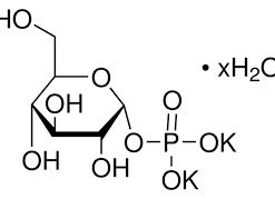 Glucose-1-Phosphoric Acid, Dipotassium Salt Dihydrate 2g Fisher