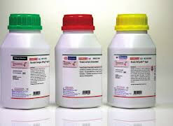 Baird Staphylococcus Enrichment Broth Base GM1091-500G Himedia