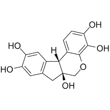 Haematoxylin, Pure 25g Fisher