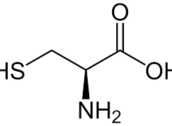 L - Cysteine GRM883-500G Himedia