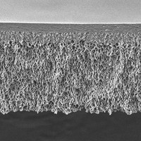 Ultrafiltration Discs, 100 kDa NMW 100 kDa NMWL, Ultracel regenerated cellulose, 76 mm diameter 10PK Merck