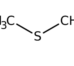 Methyl sulfide 99+% extra pure, 2.5l Acros