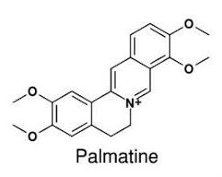 Palmatine 20mg ChemFaces