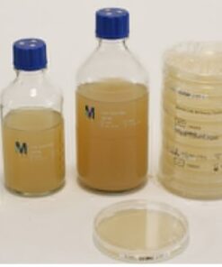 Plate Count Agar 200ml Merck Đức 