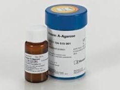 Protein A Agarose (10mL packed beads) (50% slurry) Merck