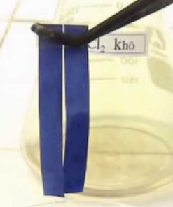 Giấy quỳ xanh Trung Quốc