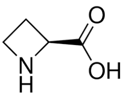 (S)-(-)-2-Azetidinecarboxylic acid, 99+% 250mg Acros