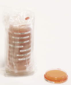 SDA Contact +LTHTh sel-ICR+ Merck Đức