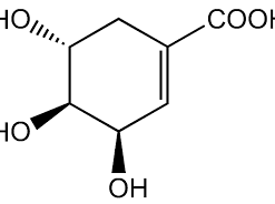 Shikimic acid 20mg ChemFaces