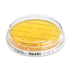 Tr. Soy Cont. A. w. LT-ICR Merck